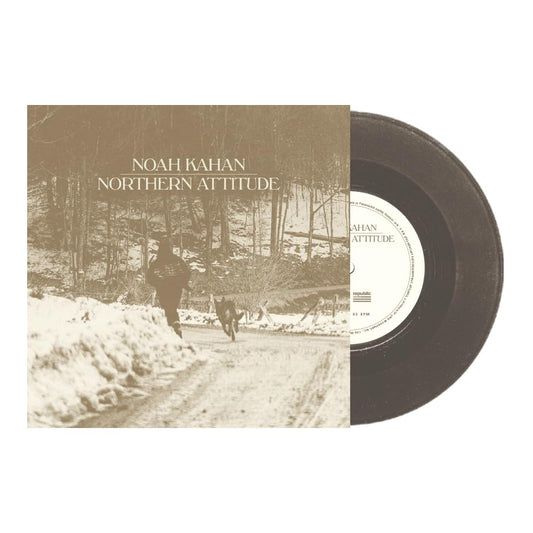 Noah Kahan Northern Attitude (Black Ice Colored Vinyl with Poster) (7" Single) [Import]