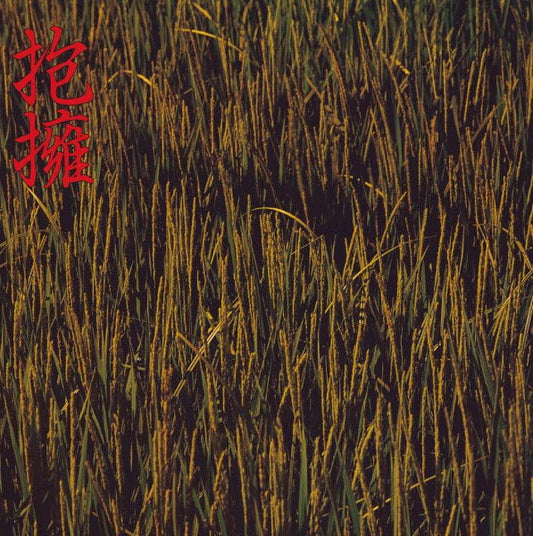 Noidunzuri（のいづんずり) Houyou (抱擁