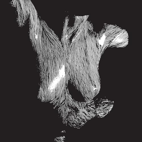 Oceansize Self Preserved While The Bodies Float Up (15Th Anniversary) [3Lp]