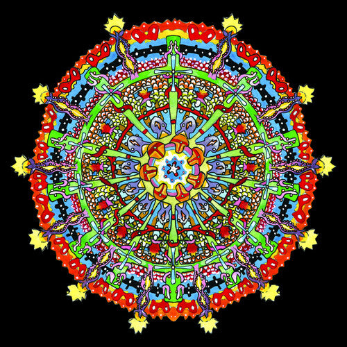 Of Montreal Hissing Fauna, Are You The Destroyer? (Colored Vinyl, Red, Yellow, Digital Download Card)