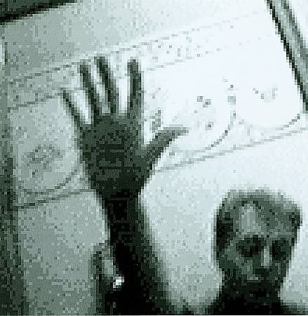 Paul McCartney DRIVING RAIN