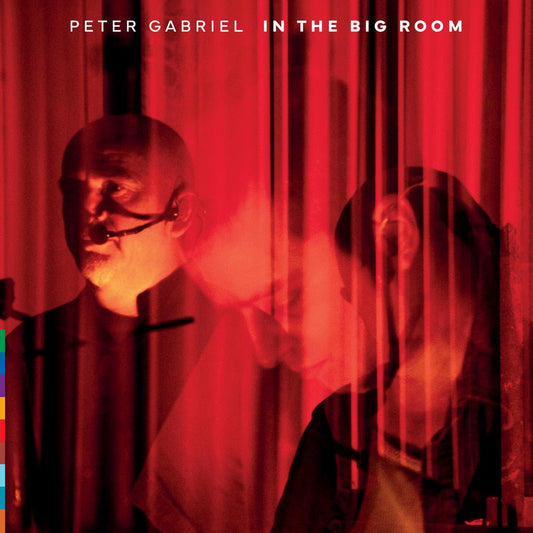 Peter Gabriel In The Big Room (180G Black Vinyl) [2LP]