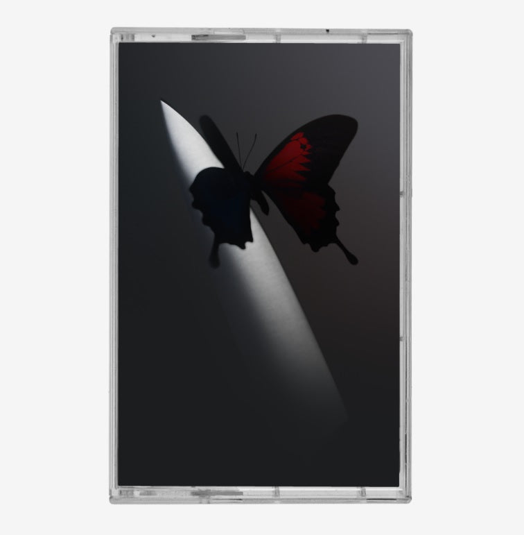 Post Malone Twelve Carat Toothache [Cassette]