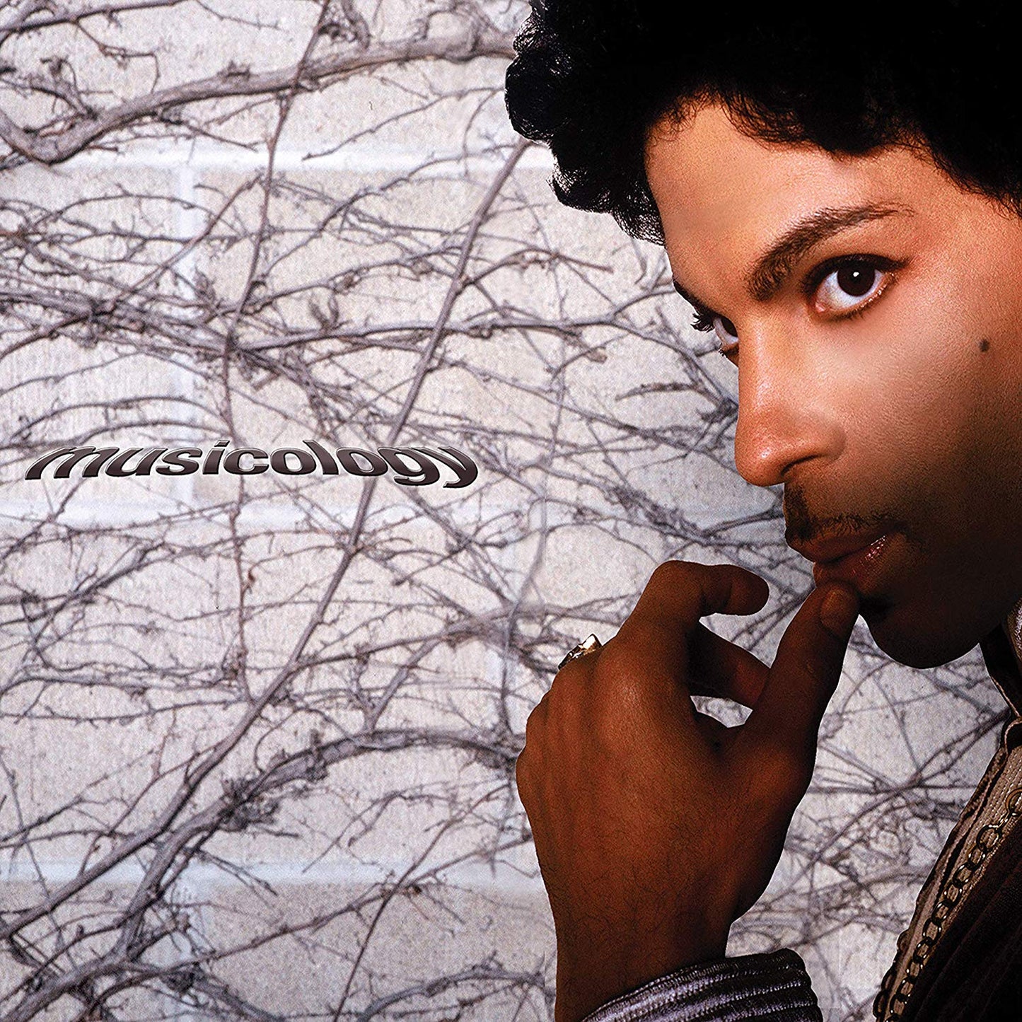 Prince Musicology