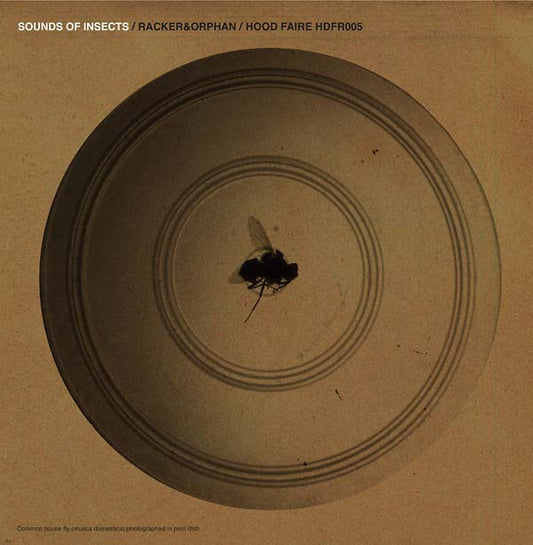 RACKER & ORPHAN Sounds of Insects