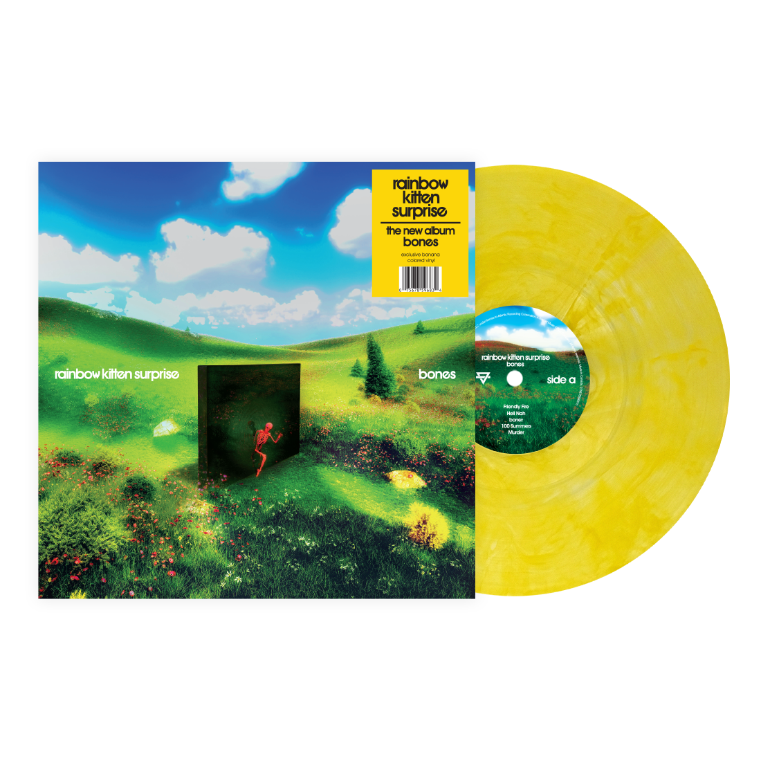 Rainbow Kitten Surprise Bones (Indie Exclusive Banana Vinyl)