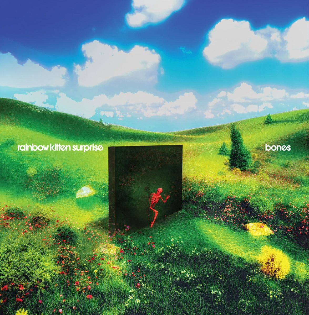 Rainbow Kitten Surprise Bones (Indie Exclusive Banana Vinyl)