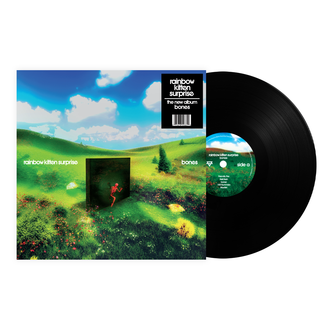 Rainbow Kitten Surprise Bones (Standard Black Vinyl)