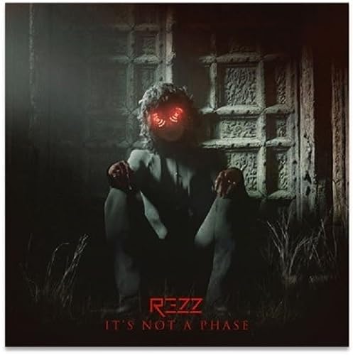 Rezz IT'S NOT A PHASE [LP]
