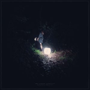 Saddest Landscape Darkness Forgives (COLOR VINYL)