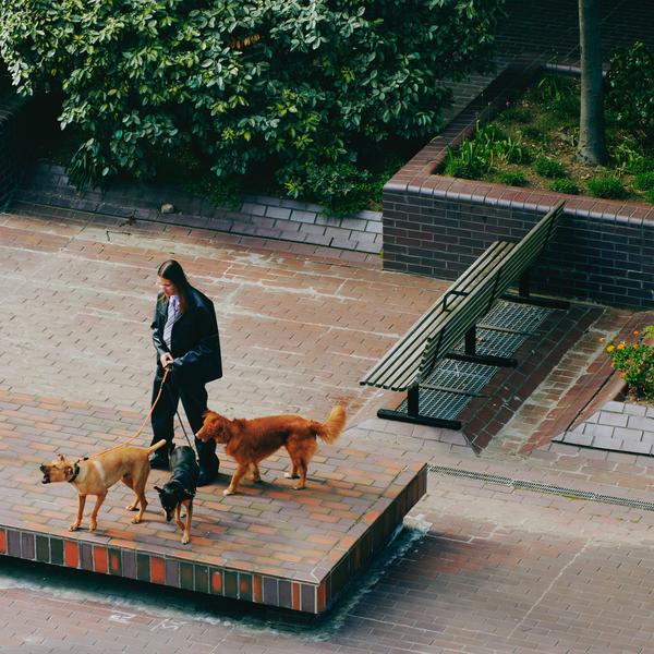 SAINT DX Way Back Home