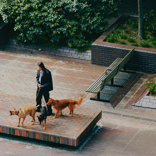 SAINT DX Way Back Home