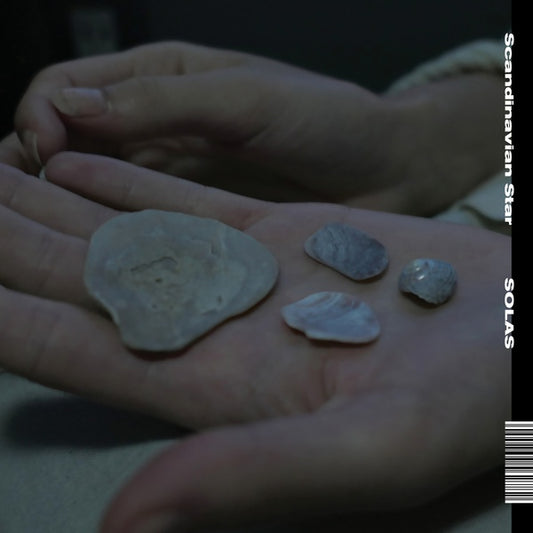 SCANDINAVIAN STAR SOLAS