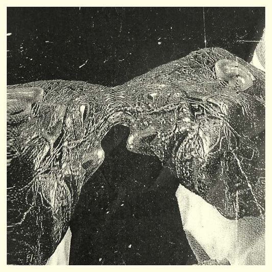 SECRET BOYFRIEND Memory Care Unit