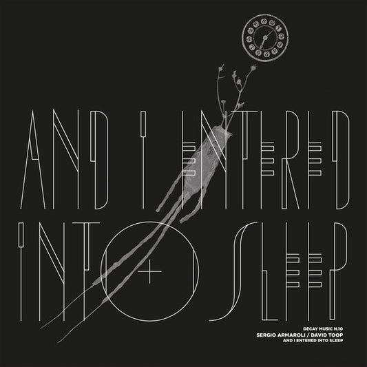 Sergio Armaroli & David Toop Decay Music N.10: And I Entered Into Sleep [LP]