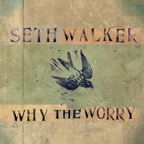 Seth Walker Why The Worry