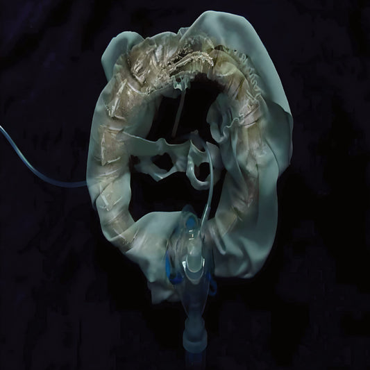 Ship Sket Initiatrix