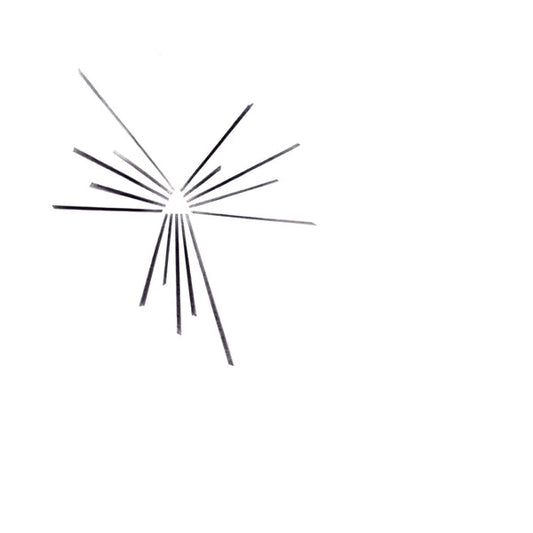 Six Organs of Admittance Mariakapel [Lp]