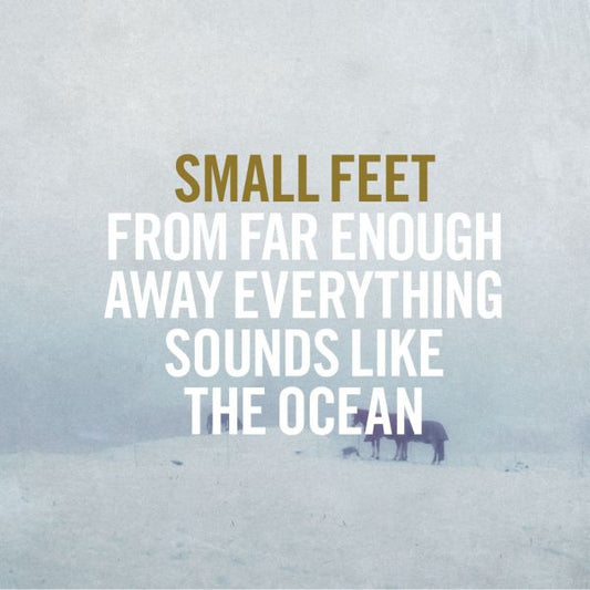 Small Feet From Far Enough Away Everything Sounds Like The Ocean