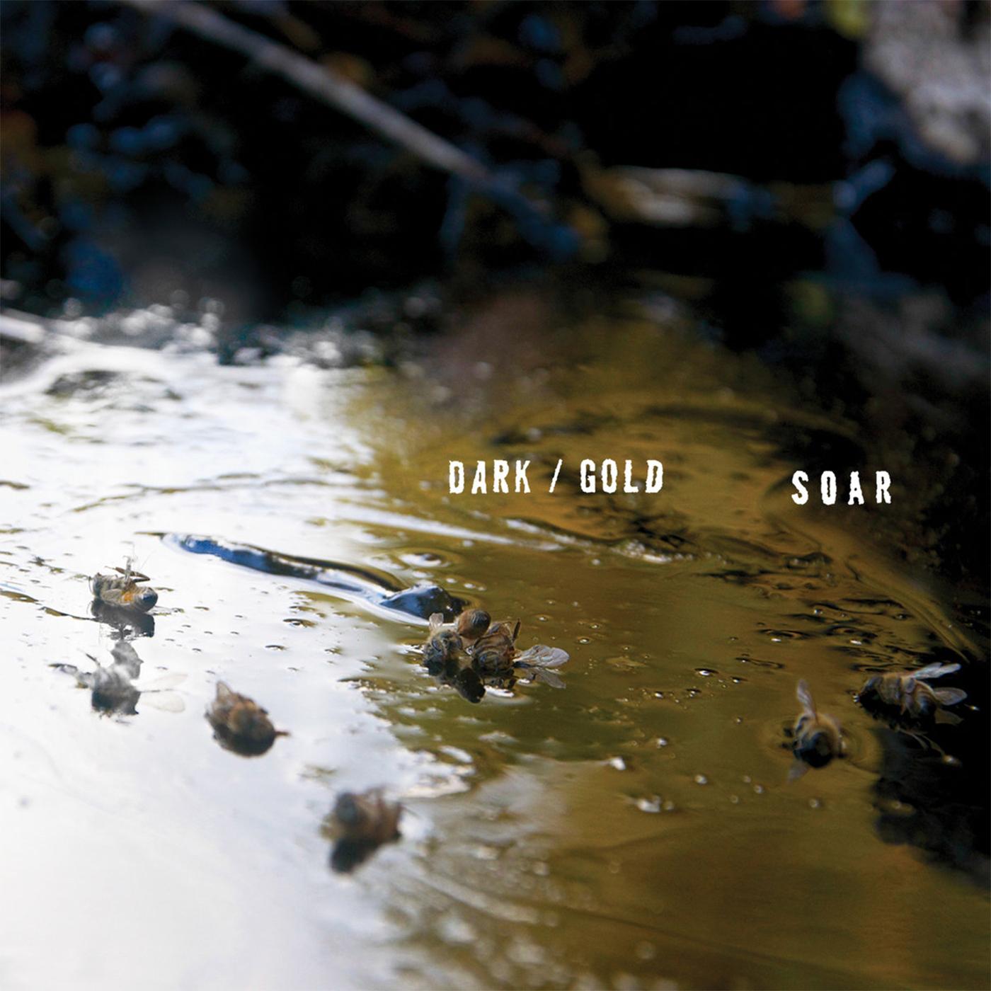 SOAR dark / gold