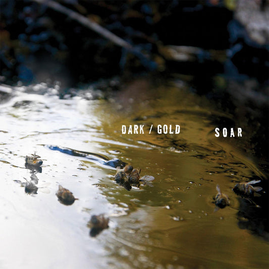 SOAR dark / gold