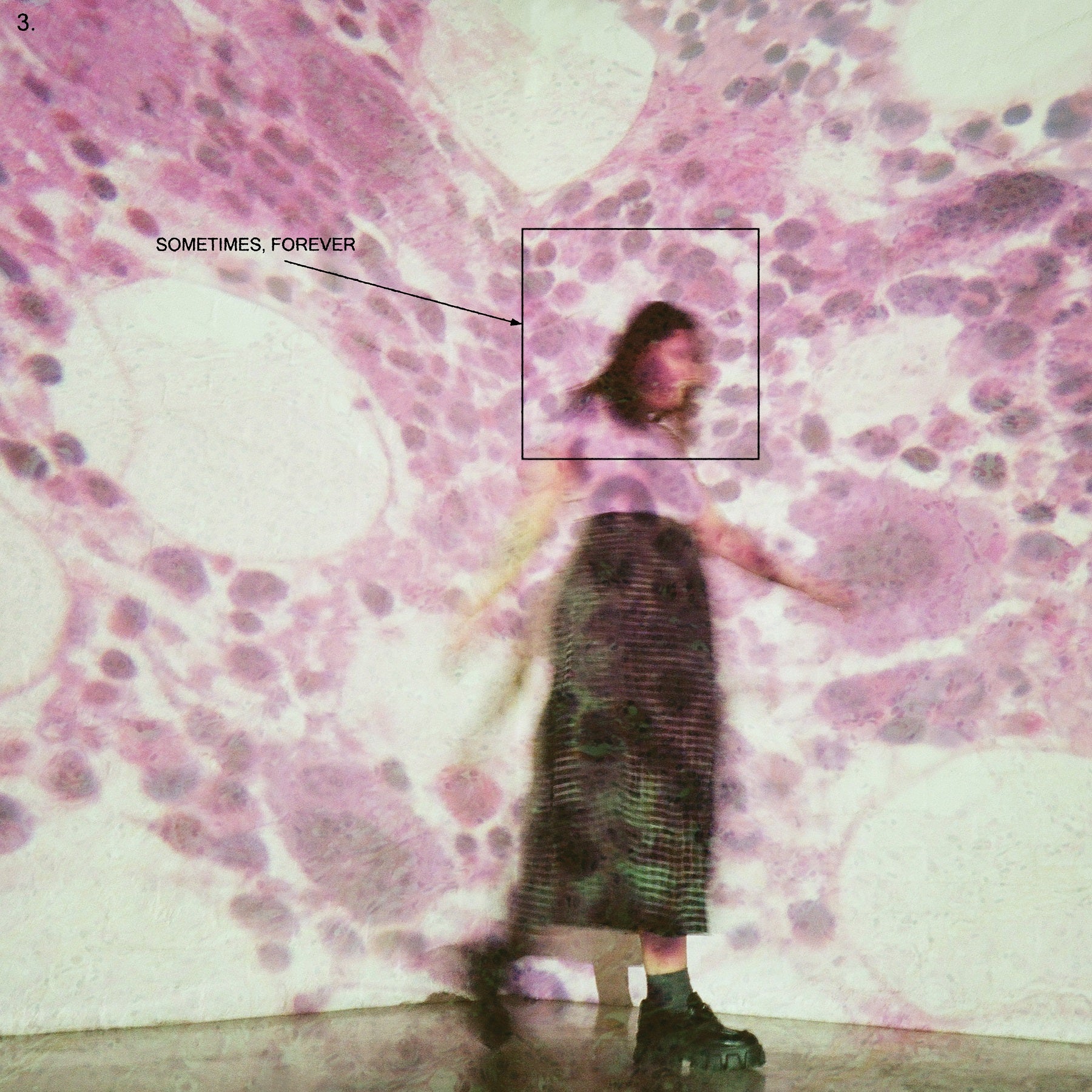 Soccer Mommy Sometimes, Forever [LP]