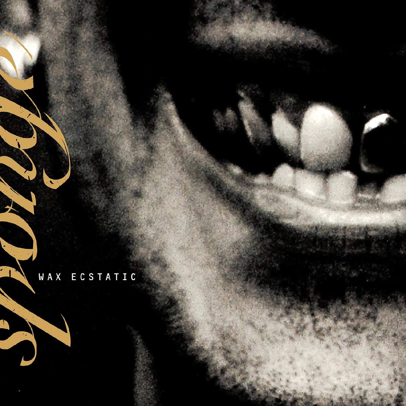 Sponge Wax Ecstatic (GALAXY BEER/BLACK VINYL)