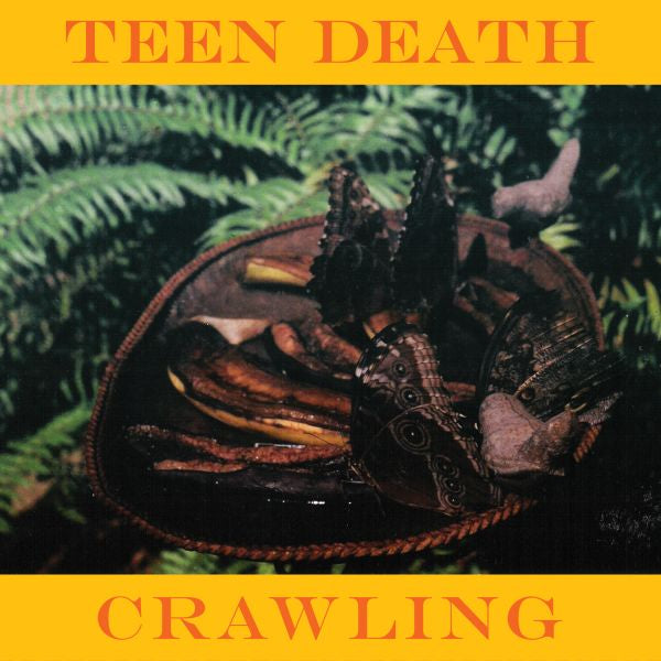 Teen Death Crawling & More
