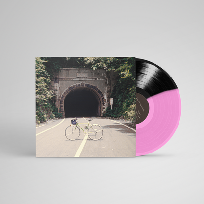 The Backseat Lovers When We Were Friends (Record Stop Exclusive | Hot Pink/ Black Split color Vinyl)
