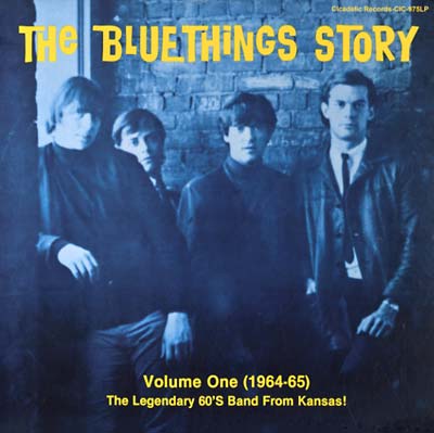 THE BLUE THINGS The Blue Things Story Volume One