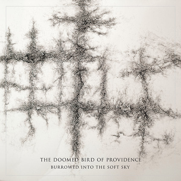 THE DOOMED BIRD OF PROVIDENCE Burrowed Into The Soft Sky