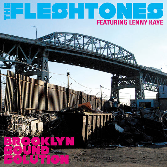 The Fleshtones Brooklyn Sound Solution