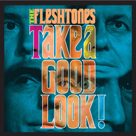 The Fleshtones Take a Good Look