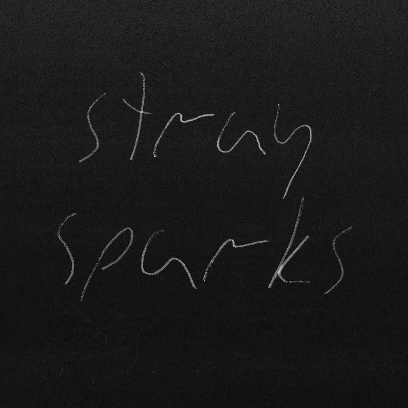 The Goodbye Party Stray Sparks