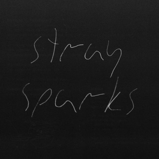 The Goodbye Party Stray Sparks