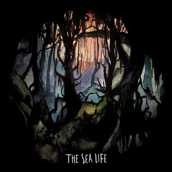 The Sea Life The Sea Life