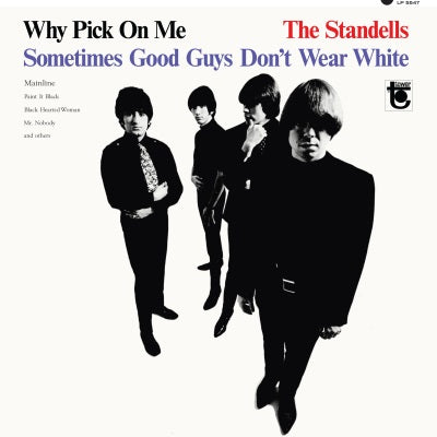 The Standells Why Pick On Me
