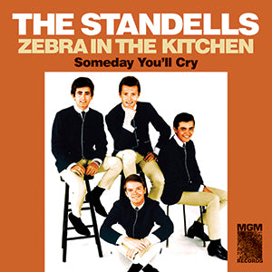 The Standells Zebra in the Kitchen / Someday You'll Cry