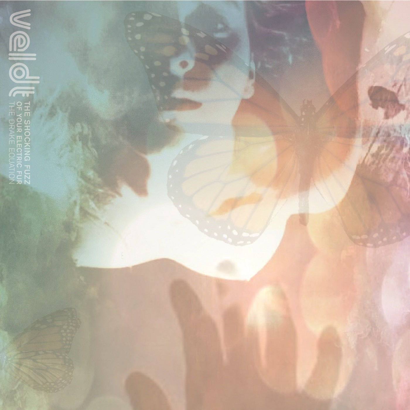 The Veldt The Shocking Fuzz of Your Electric Fur: The Drake Equation EP