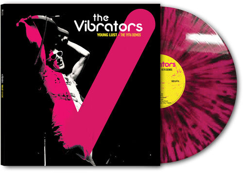 The Vibrators Demos 1976