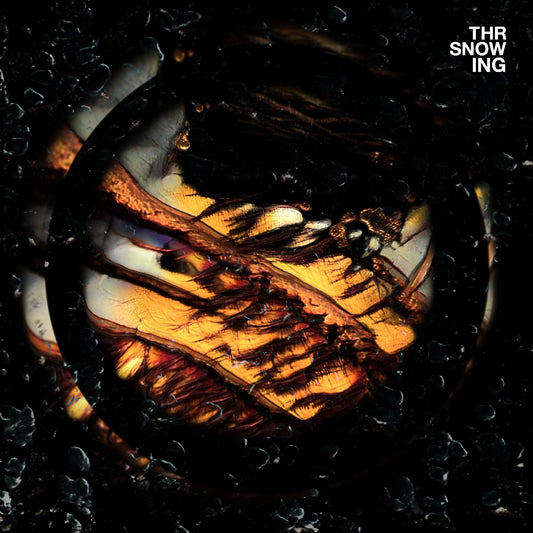 Throwing Snow Dragons (Marbled Orange Vinyl)