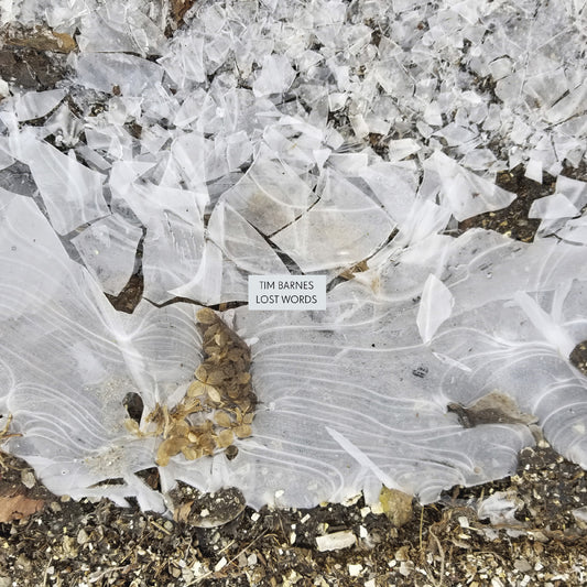 TIM BARNES Lost Words