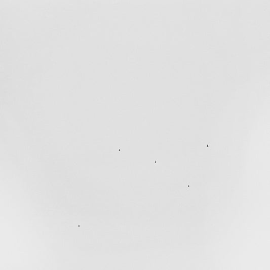 TODD ANDERSON-KUNERT Conjectures