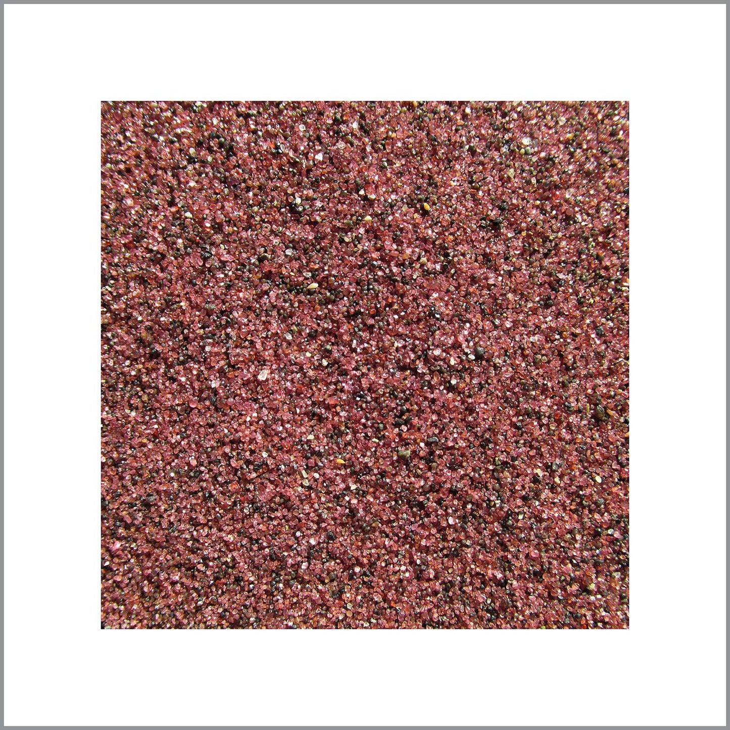 Travis & Peter Evans Laplante Secret Meeting