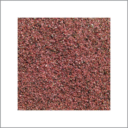 Travis & Peter Evans Laplante Secret Meeting