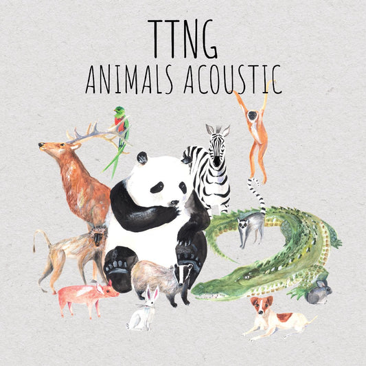 Ttng Animals Acoustic