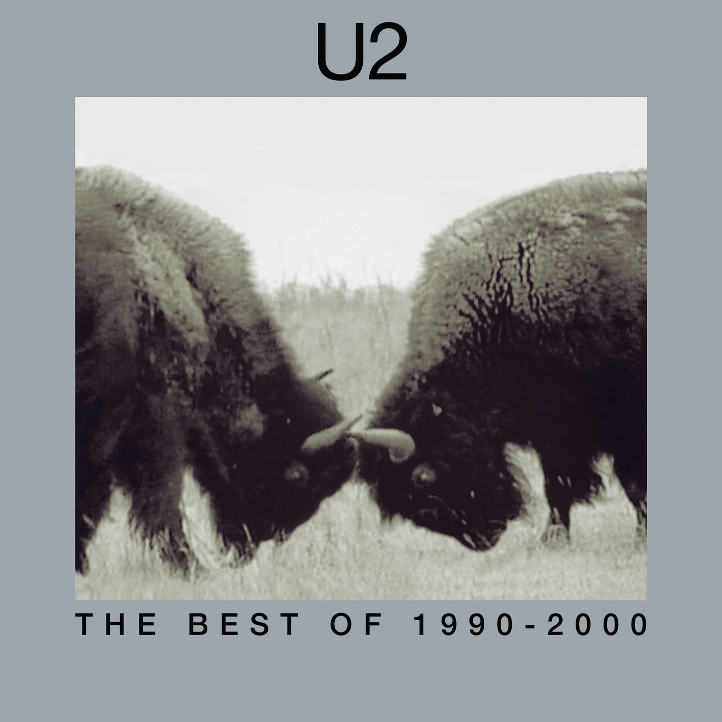 U2 The Best Of 1990-2000 (180 Gram Vinyl) (2 Lp's)