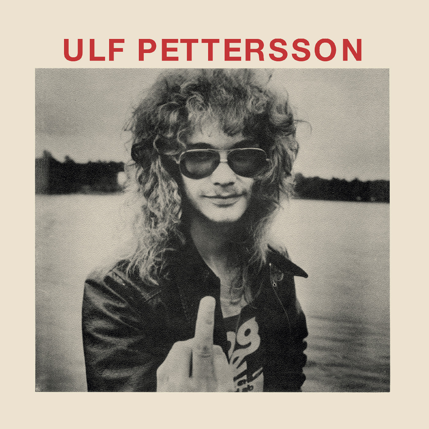 Ulf Pettersson Schizo