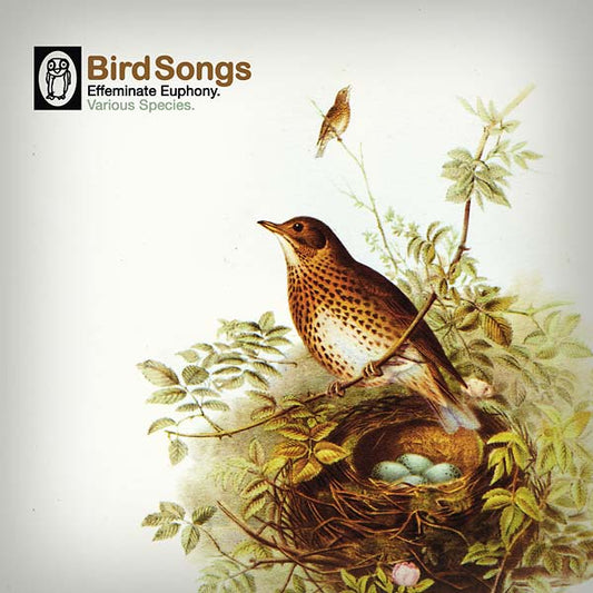 Va Bird Songs