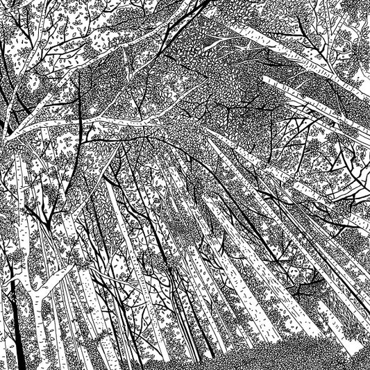 Va Displaced Soundtracks